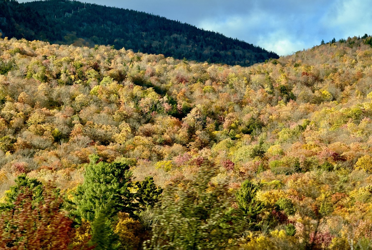 Layered autumn hillside in green, gold, rust and soft red tones