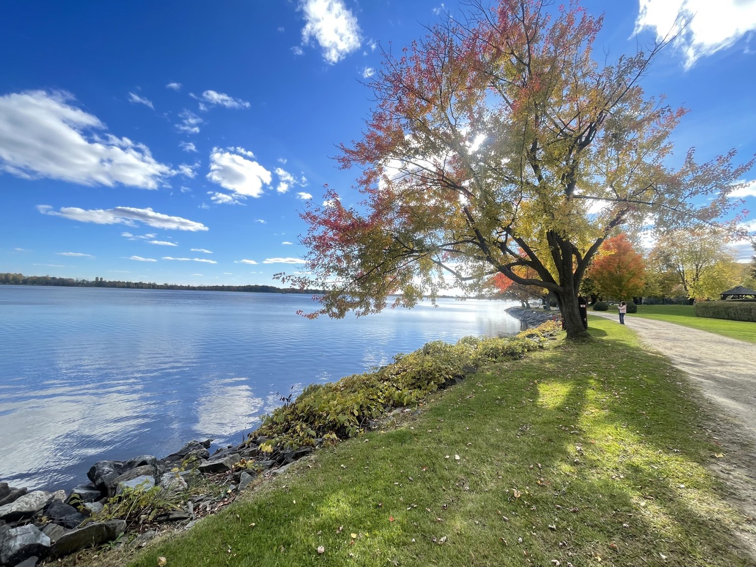 Ottawa and Gatineau waterfront with bright sky, water and autumn trees